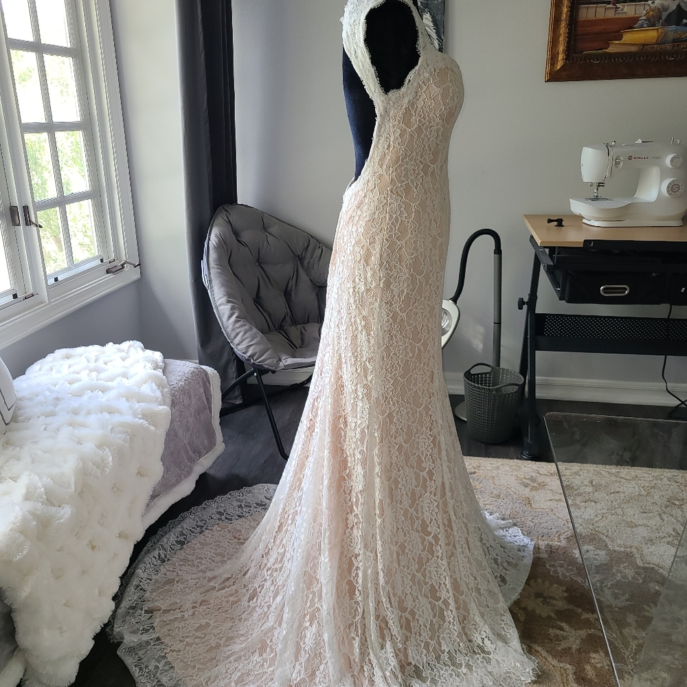 Wedding Dress Simple Blush and Lace Gown